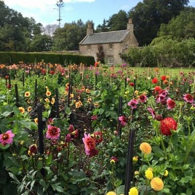 kok中欧登录入口手机app下载